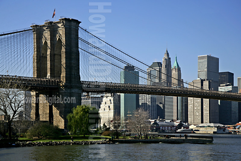 Brooklyn Bridge View