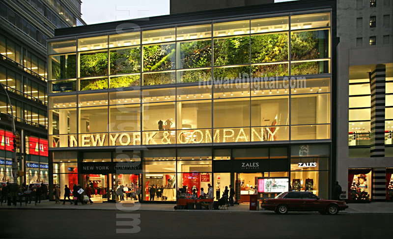 New York & Company 