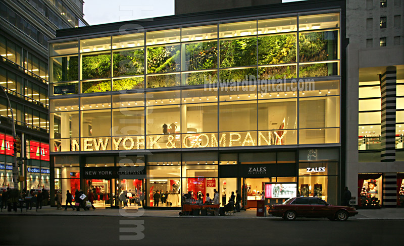 new york & company online