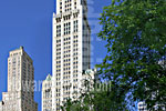 Woolworth Building Photo